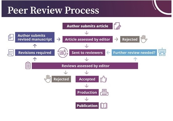 Peer Review Process